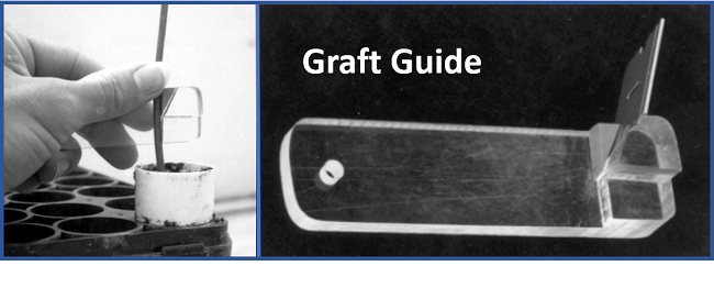 /ARSUserFiles/21904/Photos/invention graft guide rs.png